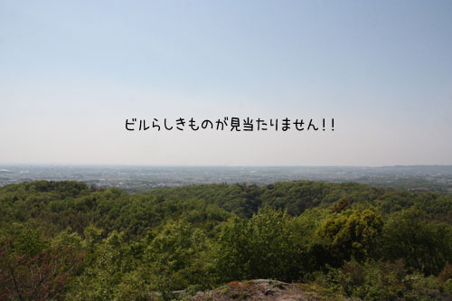 2013-5-1-5.jpg