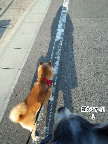 2013-5-11-1.jpg