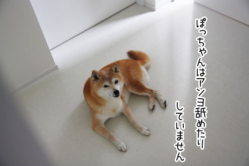 2013-5-14-2.jpg