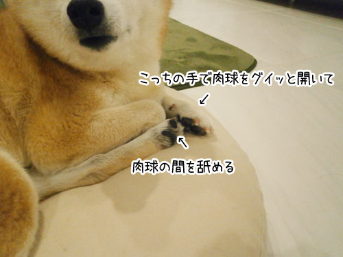 2013-5-15-1.jpg