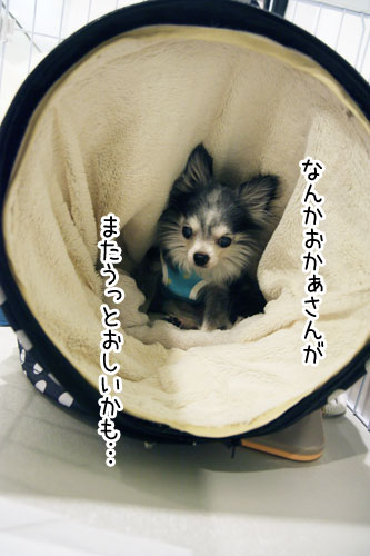 2013-5-17-1.jpg