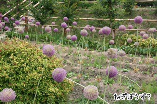 2013-6-12-5.jpg
