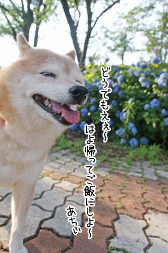 2013-6-17-3.jpg