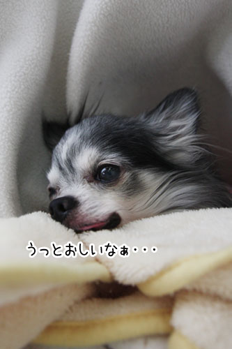 2013-7-14-2.jpg