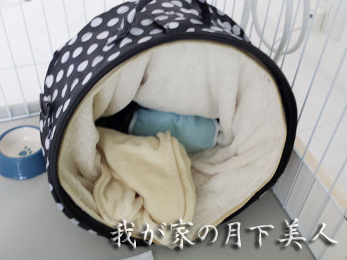 2013-7-18-2.jpg