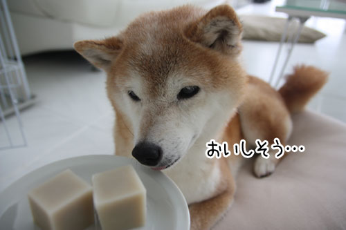 2013-7-19-2.jpg