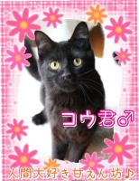 201304292342573e3s.jpg