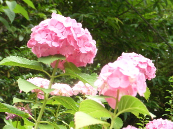 RIMG12415-11.jpg