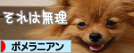 にほんブログ村 犬ブログ ポメラニアンへ