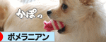 にほんブログ村 犬ブログ ポメラニアンへ
