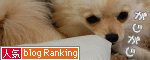 人気ブログランキングへ