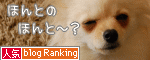 人気ブログランキングへ