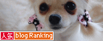人気ブログランキングへ