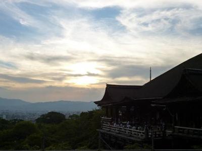 P1000237.jpg