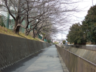宇田川14