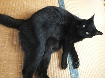 DSCF2166.jpg