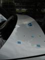 DSCN5308.jpg