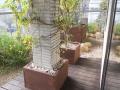 DSCN5468.jpg