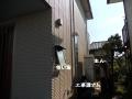 DSCN5592.jpg