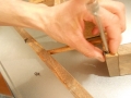 DSCN5668.jpg