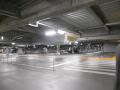 DSCN5673.jpg