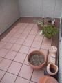 DSCN5749.jpg