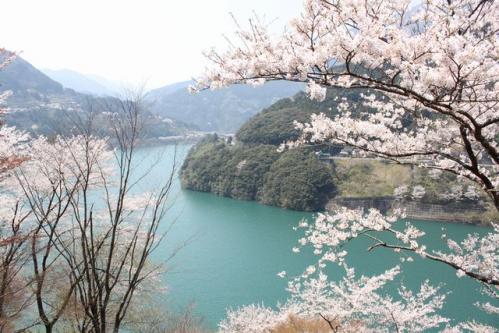 ダム湖