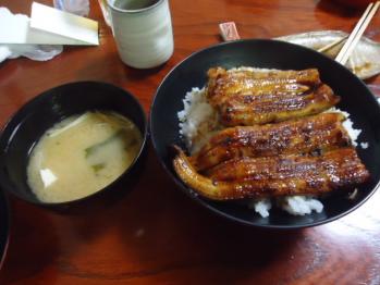 鰻