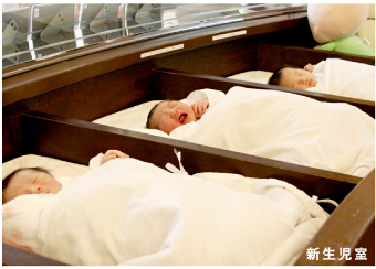 hanababy.jpg