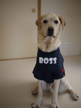 Boss Eddie-36