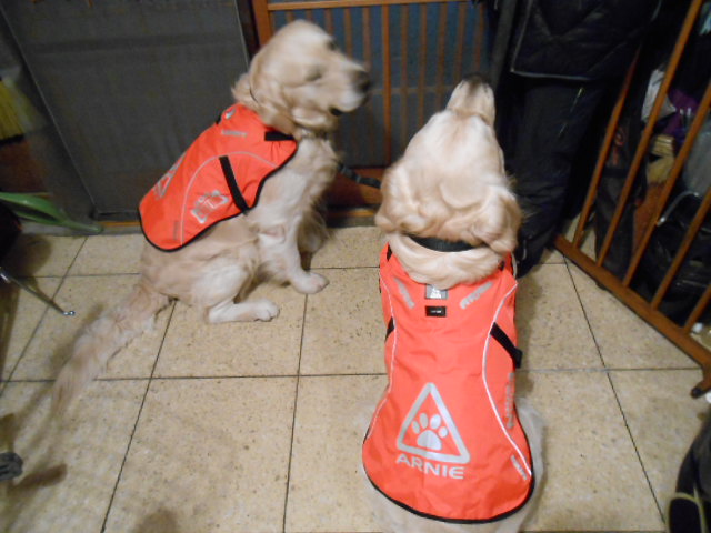 DSCN0360.jpg