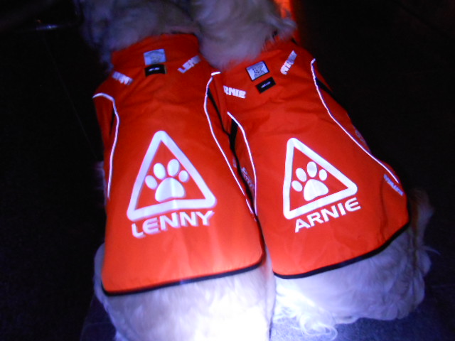 DSCN0395.jpg