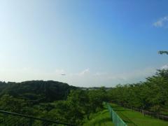 きたー