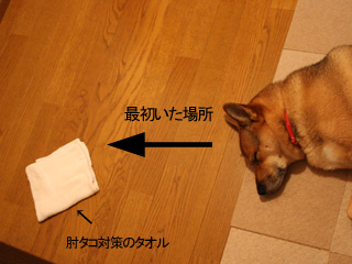 寝んねぇ場所も変わります!!!???2