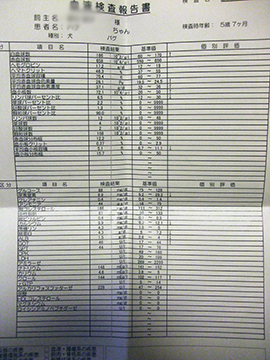 2146.jpg