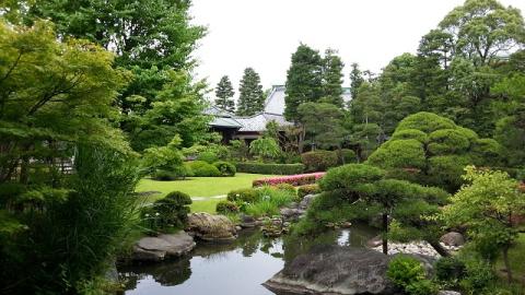 2013-06-11j.jpg