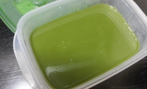 抹茶プリン2