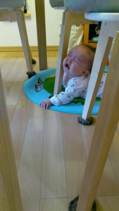 rps20110927_213743.jpg