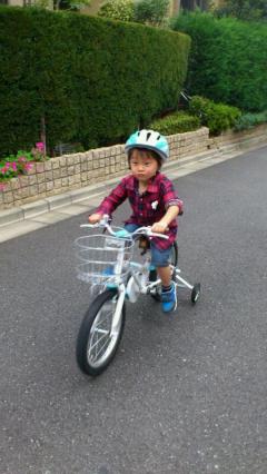 rps20111103_175812.jpg