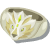 恐狼の指輪