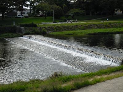 DSCN1232_400.jpg