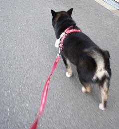 帰り道