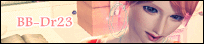 b1.gif