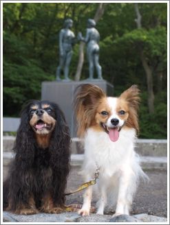 2011091501.jpg