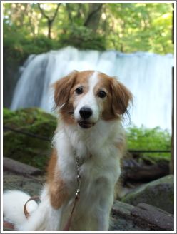 2011091504.jpg