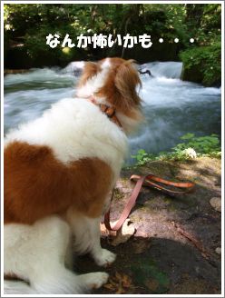 2011091506.jpg