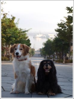 2011091606.jpg