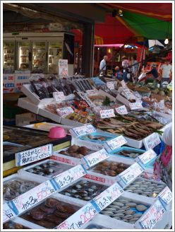 20110916a1.jpg