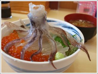 20110916a3.jpg