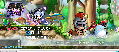 maple110908_055-1.png